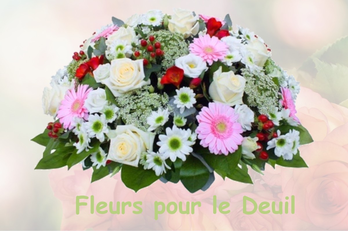 fleurs deuil FRENELLE-LA-PETITE